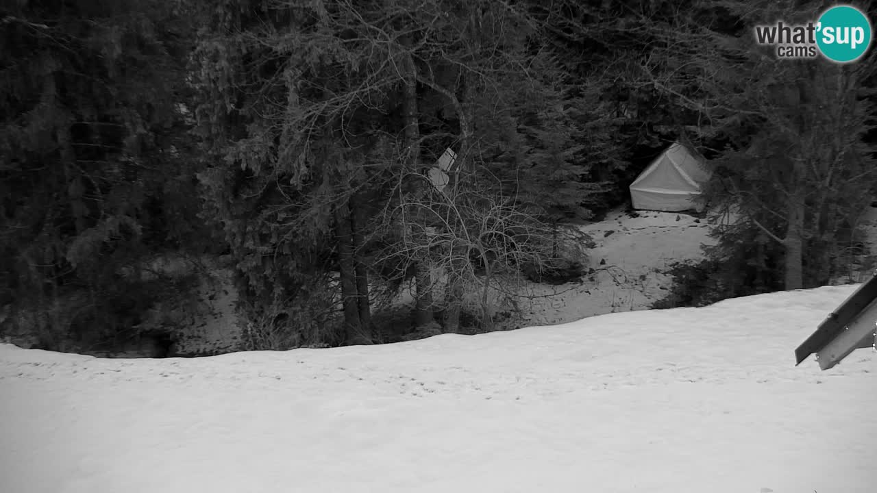 Webcam Lukanja – Water Village | Pohorje Houses