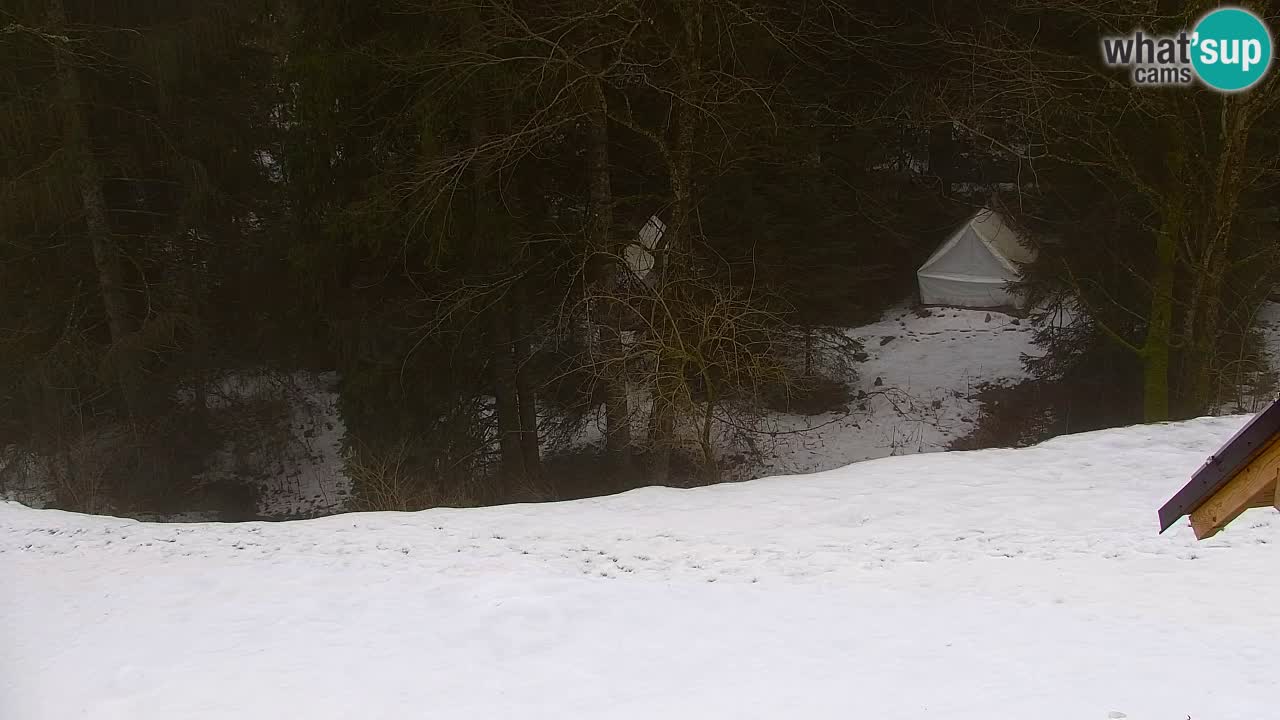 Webcam Lukanja – Water Village | Pohorje Houses