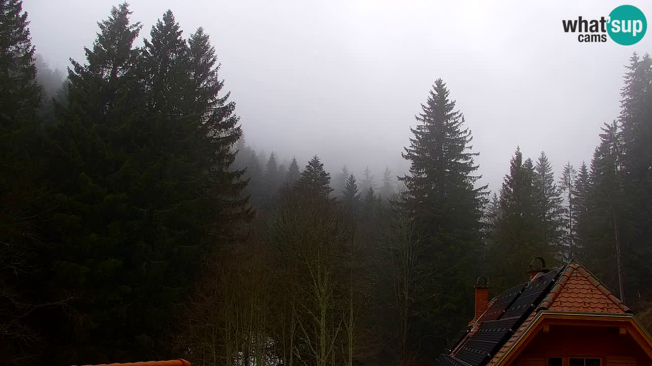 Web kamera Lukanja – Water Village | Pohorje Houses