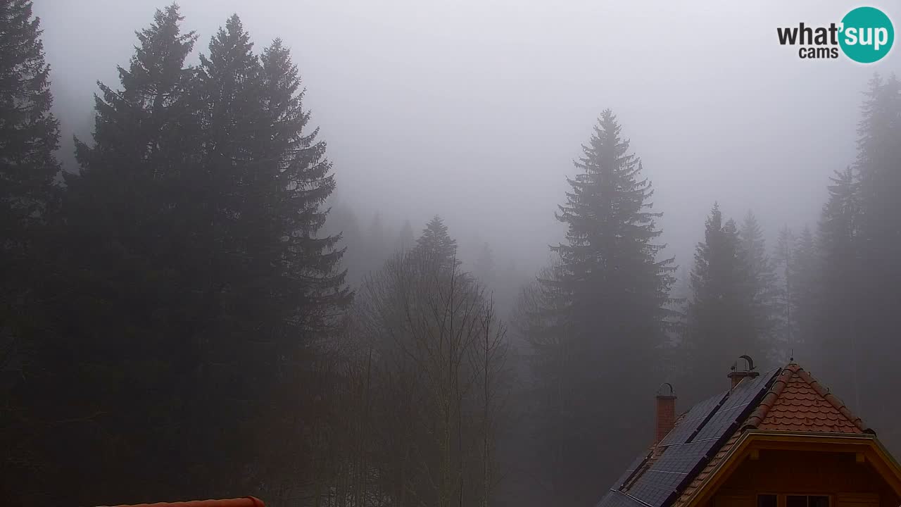 Webcam Lukanja – Water Village | Pohorje Houses