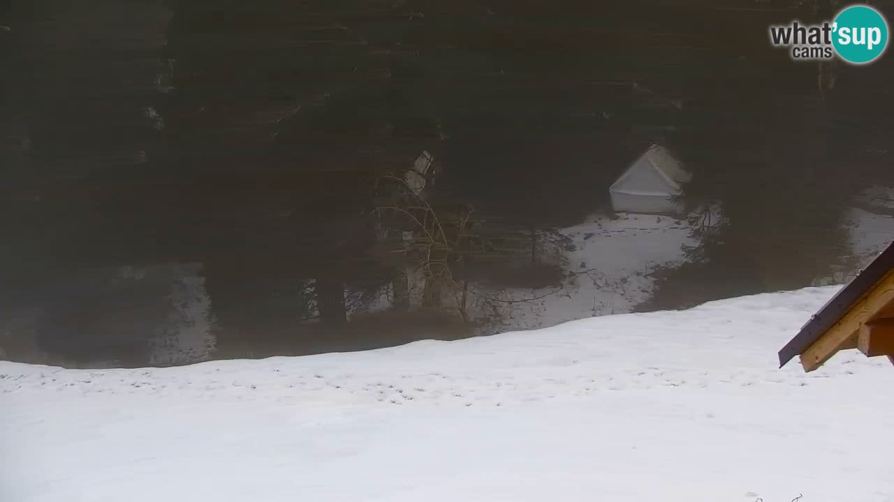 Spletna kamera Lukanja – Water Village | Pohorje Houses