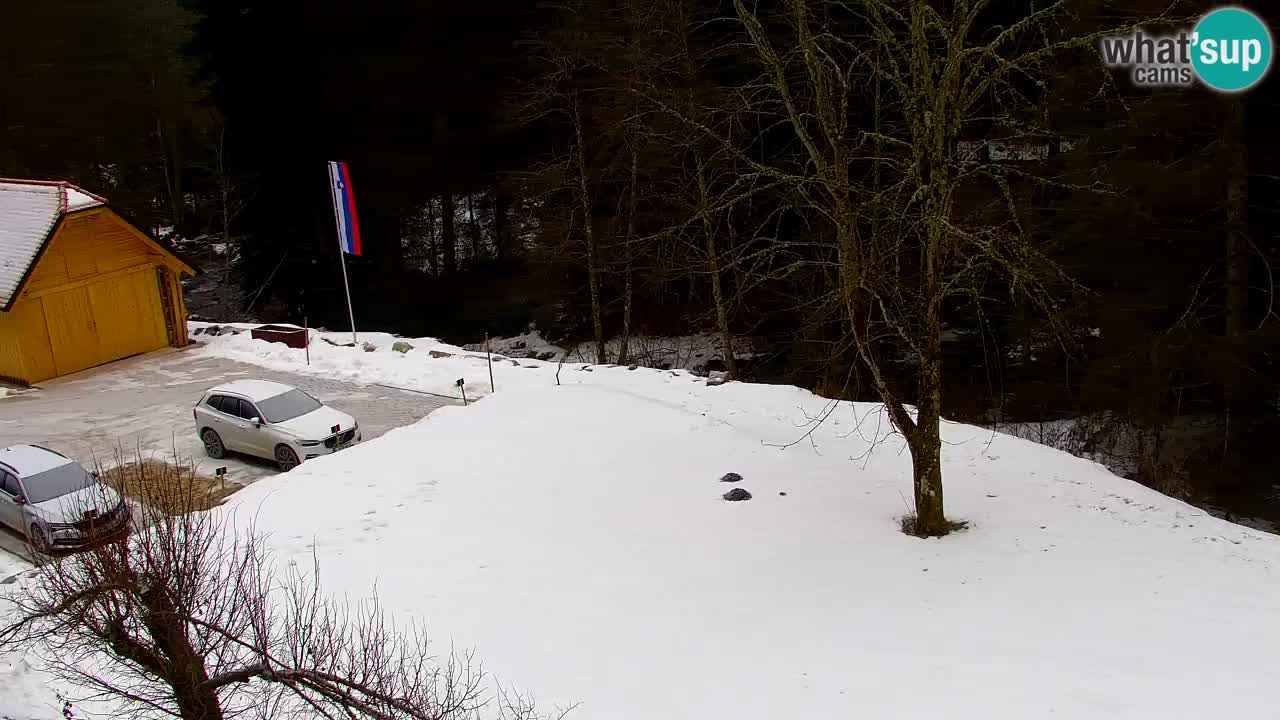 Webcam Lukanja – Water Village | Pohorje Houses