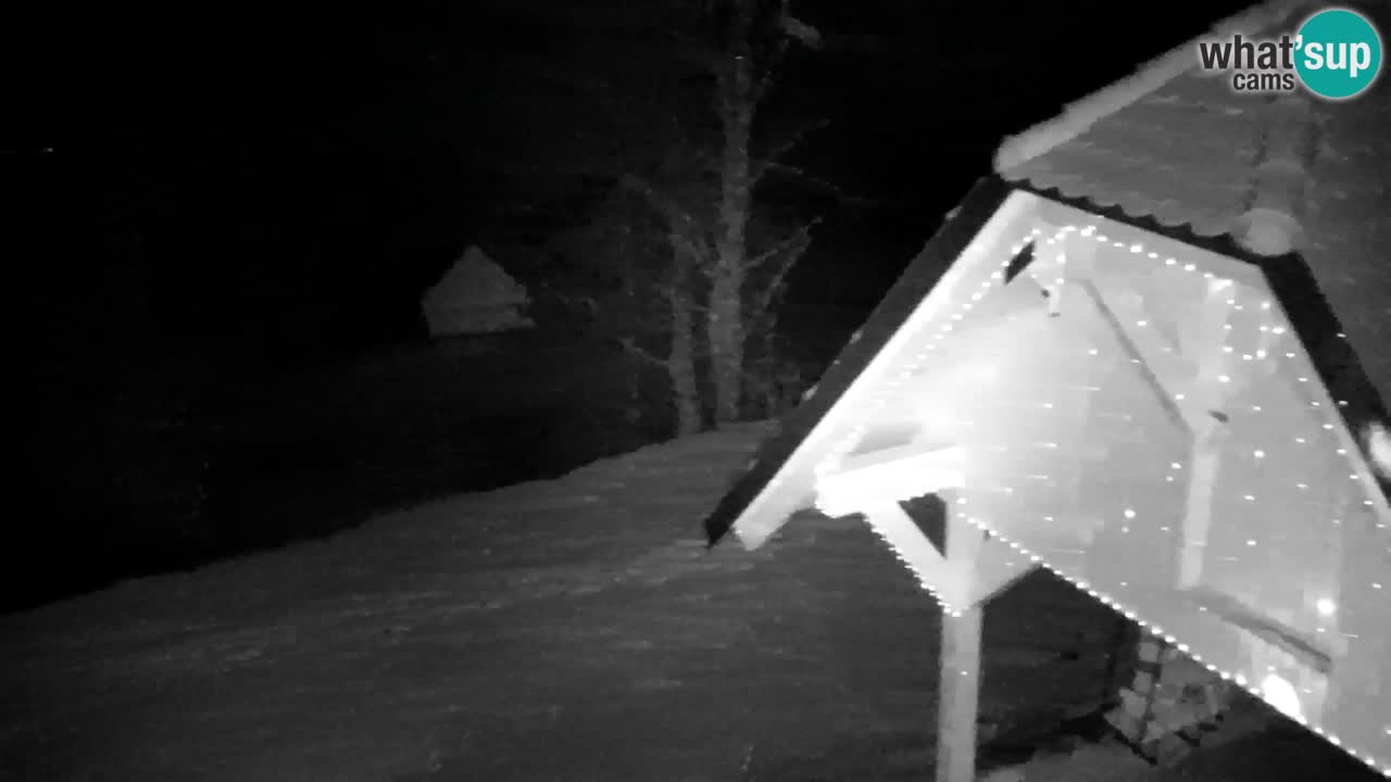 Spletna kamera Lukanja – Water Village | Pohorje Houses