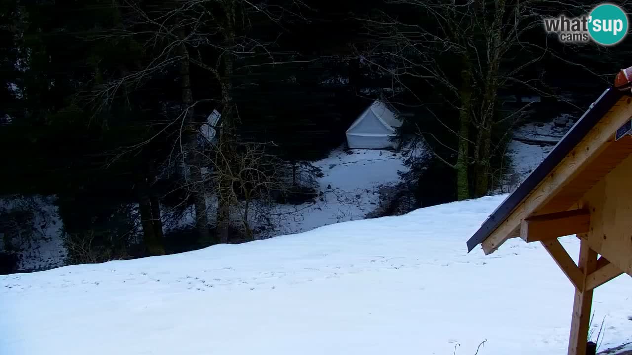 Webcam Lukanja – Water Village | Pohorje Houses