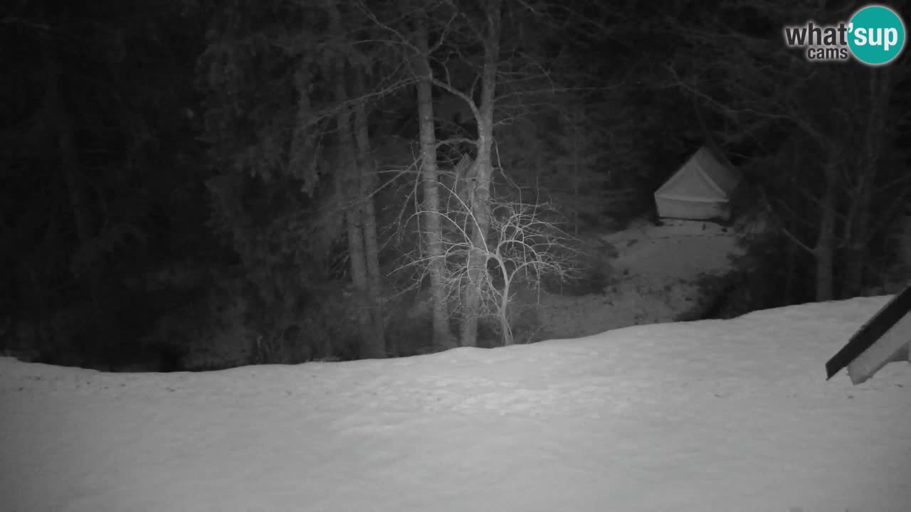 Web kamera Lukanja – Water Village | Pohorje Houses