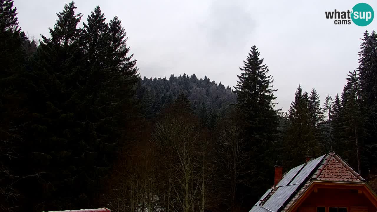 Webcam Lukanja – Pohorje houses a Water village