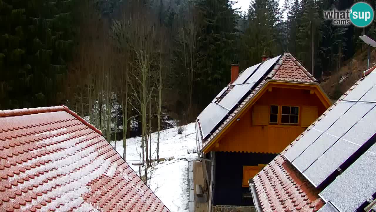 Spletna kamera Lukanja – Water Village | Pohorje Houses
