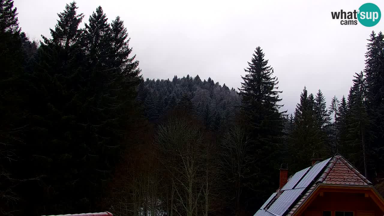 Web kamera Lukanja – Water Village | Pohorje Houses