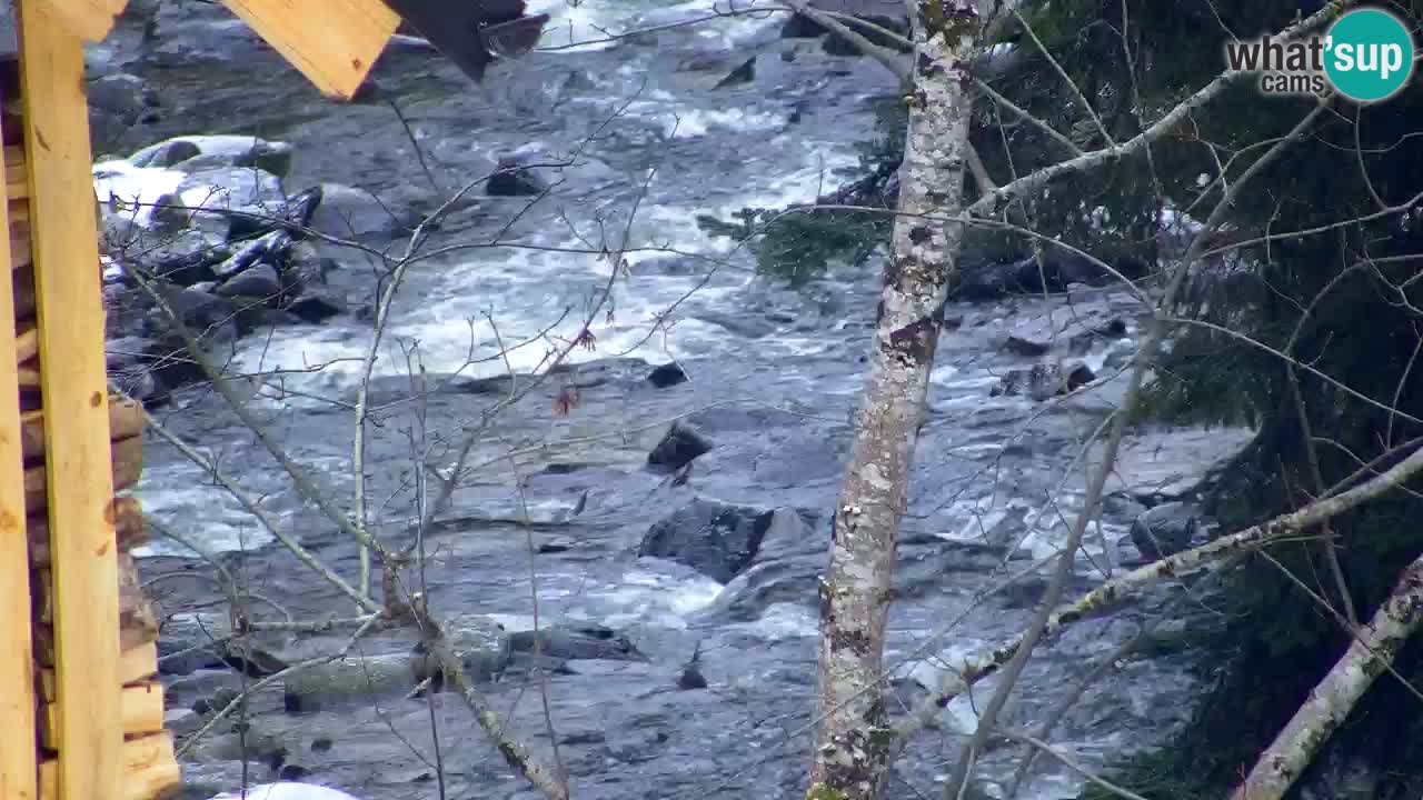 Webcam Lukanja – Pohorje houses a Water village