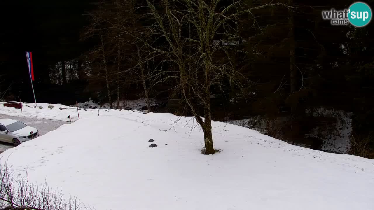 Web kamera Lukanja – Water Village | Pohorje Houses