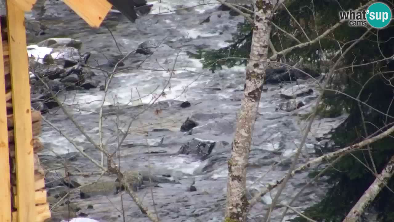 Web kamera Lukanja – Water Village | Pohorje Houses
