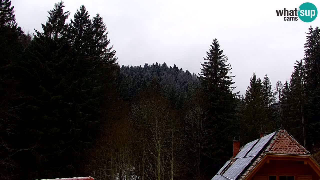 Webcam Lukanja – Water Village | Pohorje Houses