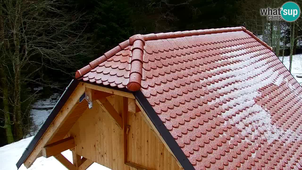 Webcam Lukanja – Water Village | Pohorje Houses