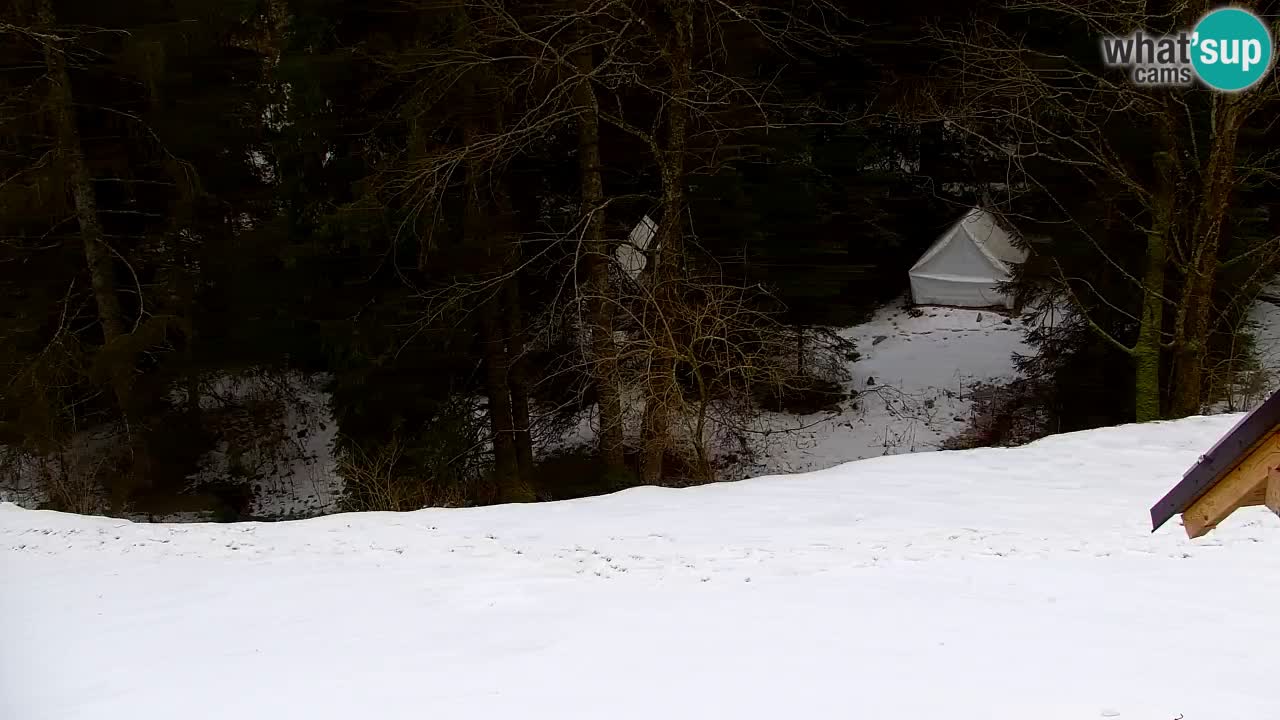 Spletna kamera Lukanja – Water Village | Pohorje Houses