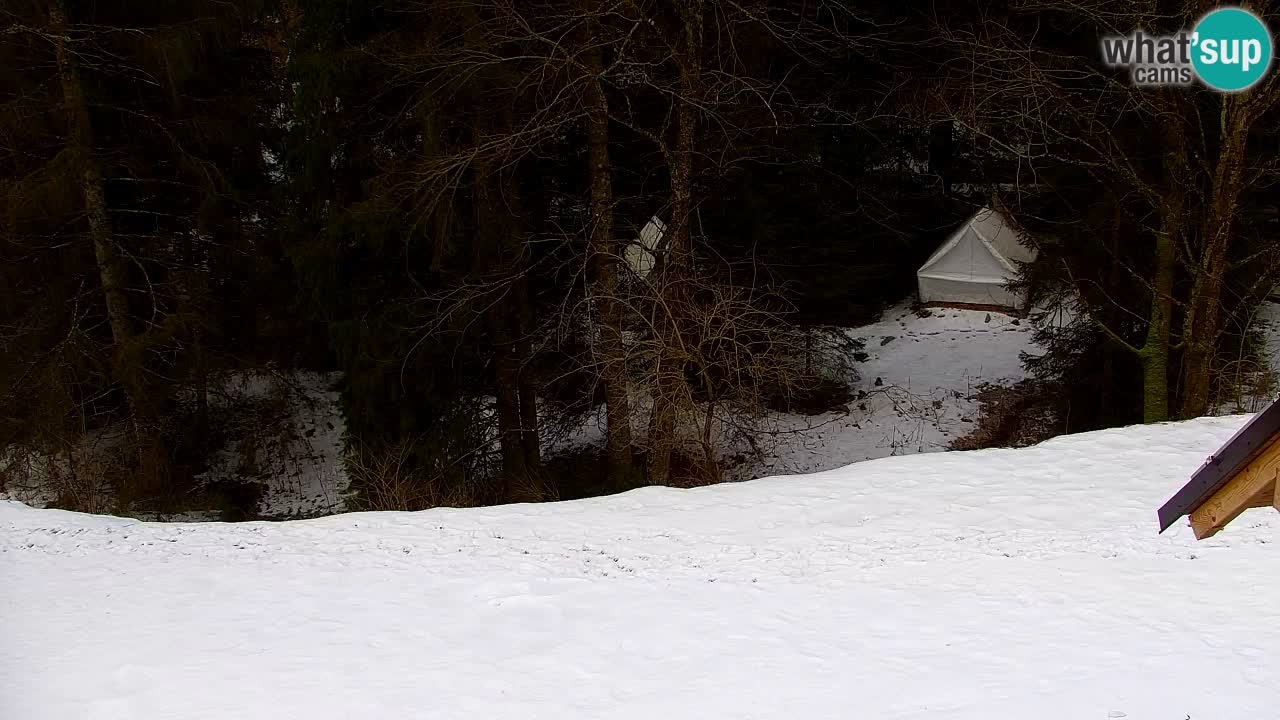Webcam Lukanja – Pohorje houses a Water village