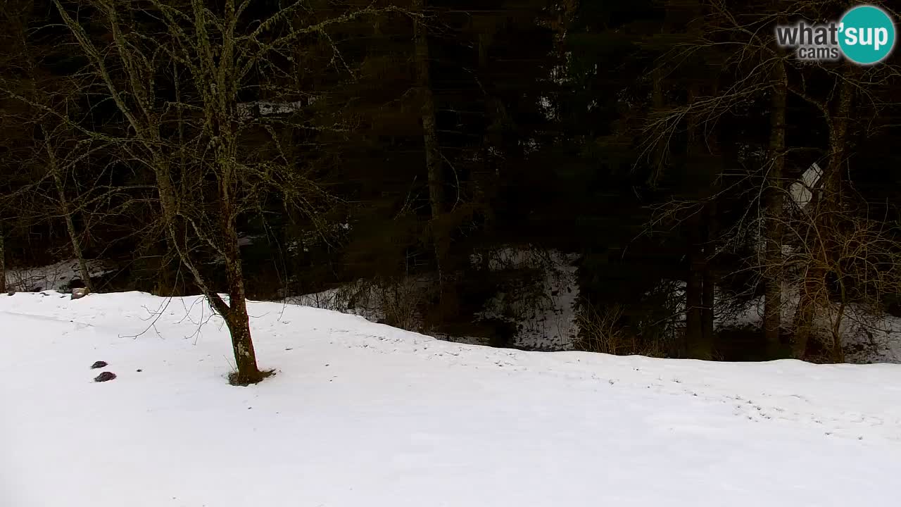 Webcam Lukanja – Pohorje houses a Water village