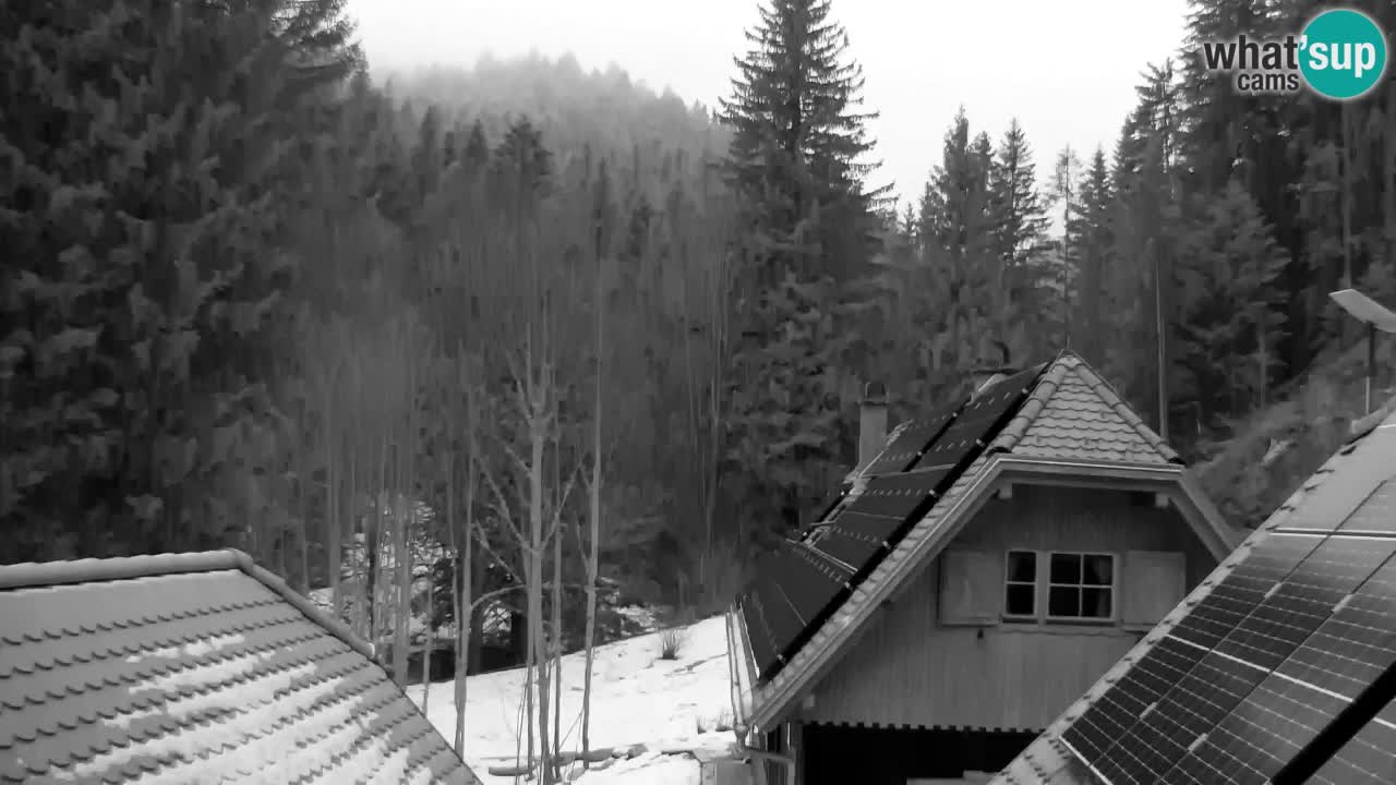 Webcam Lukanja – Water Village | Pohorje Houses