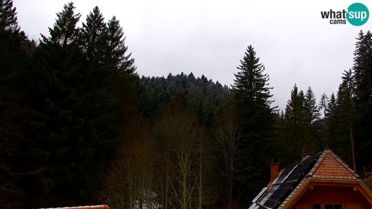 Webcam Lukanja – Pohorje houses a Water village