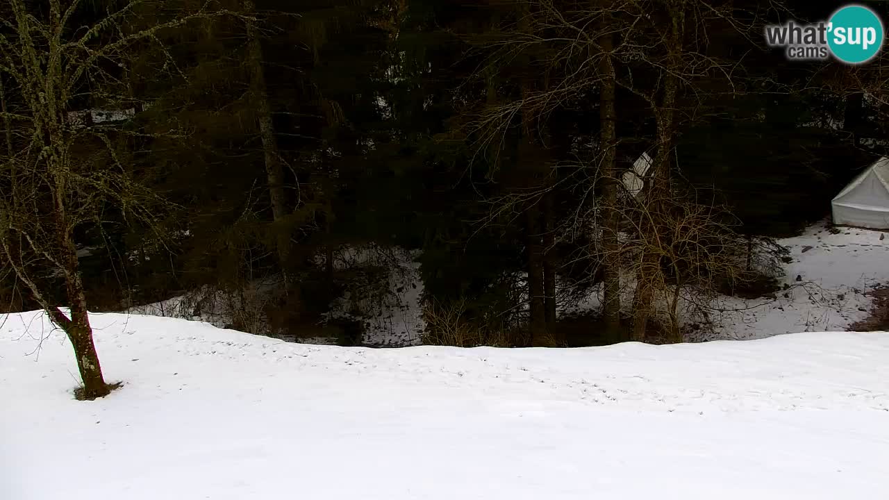 Web kamera Lukanja – Water Village | Pohorje Houses