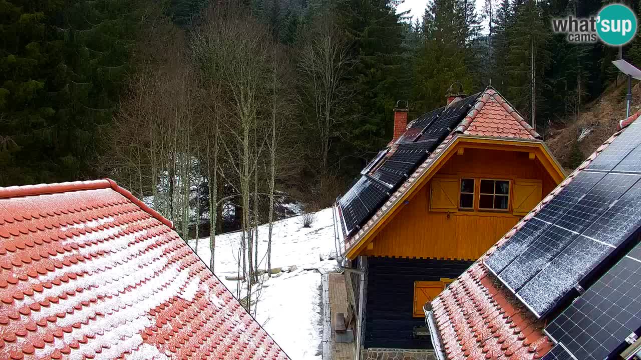 Webcam Lukanja – Water Village | Pohorje Houses