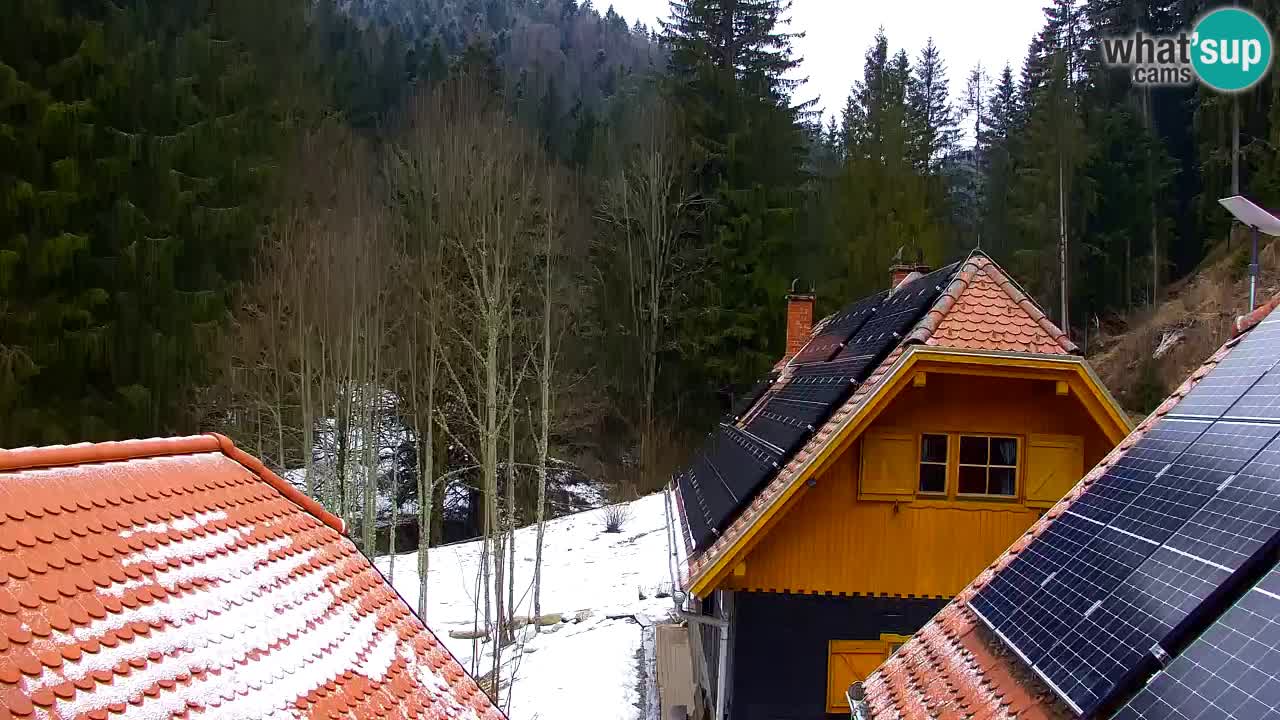 Webcam Lukanja – Pohorje houses a Water village