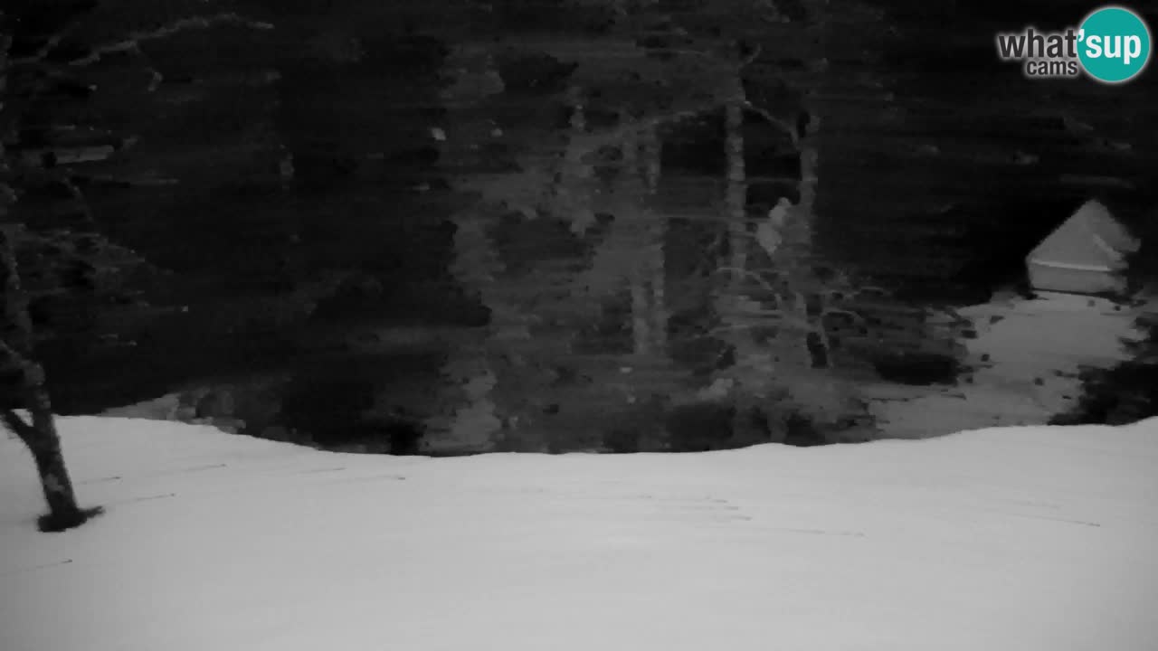 Webcam Lukanja – Pohorje houses a Water village