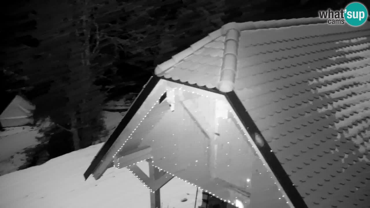 Webcam Lukanja – Water Village | Pohorje Houses