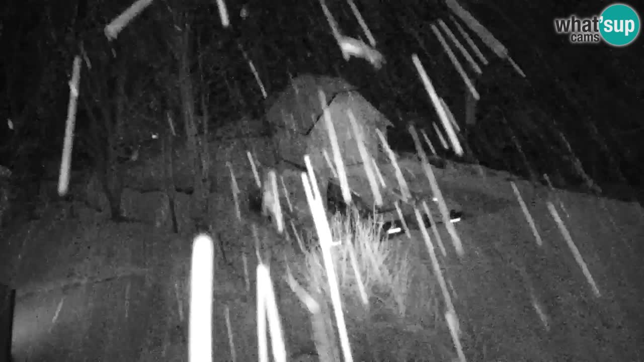 Webcam Lukanja – Pohorje houses a Water village