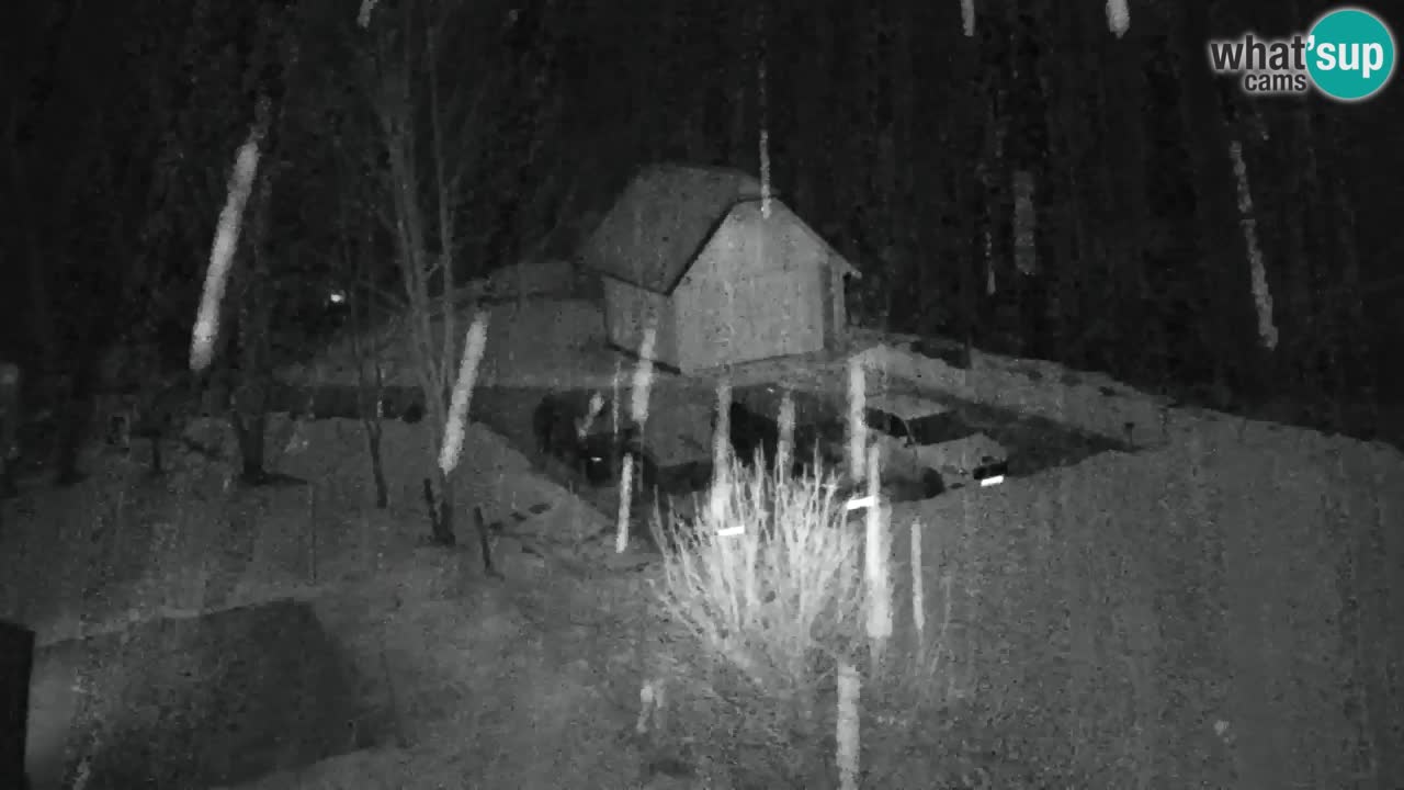 Webcam Lukanja – Water Village | Pohorje Houses