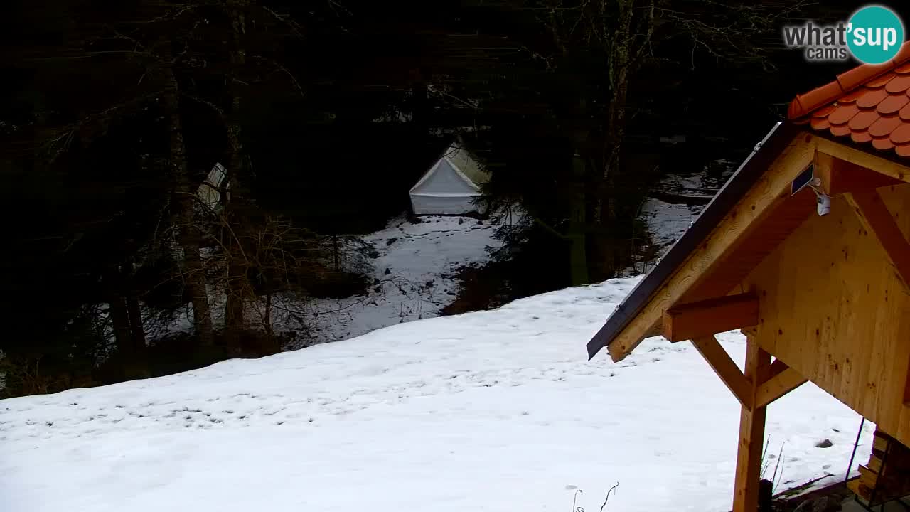 Webcam Lukanja – Water Village | Pohorje Houses