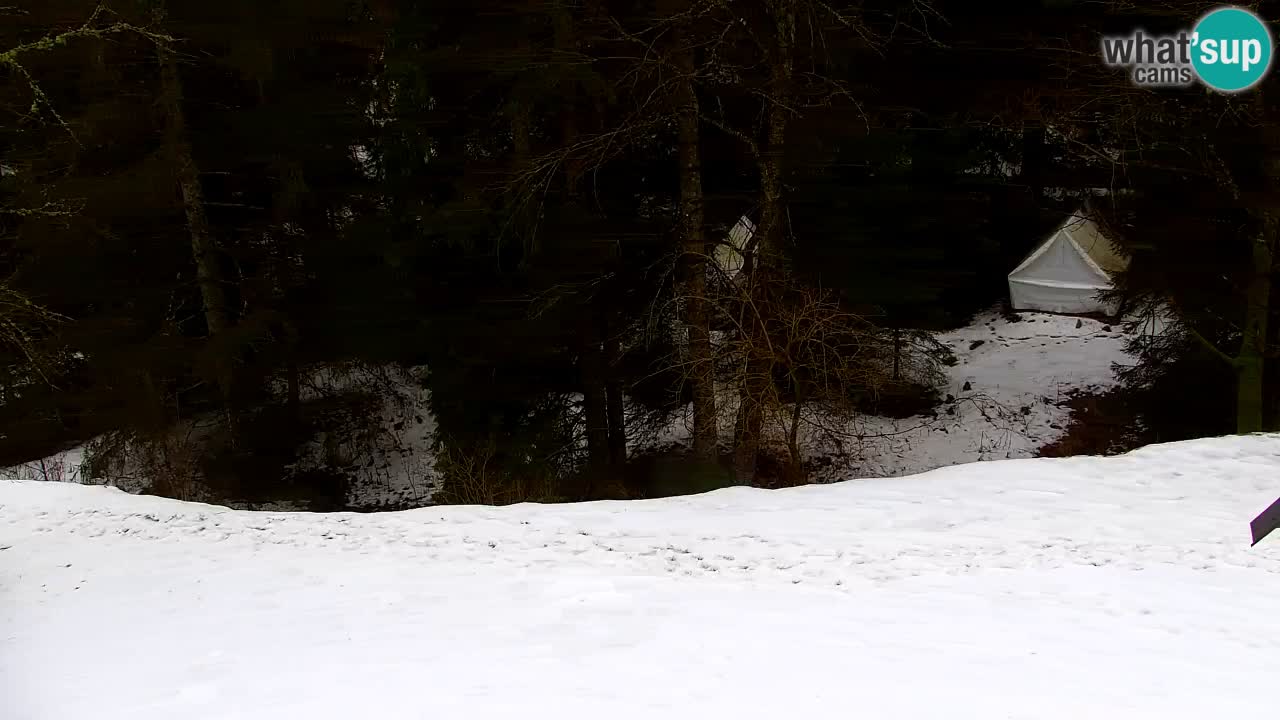 Webcam Lukanja – Water Village | Pohorje Houses