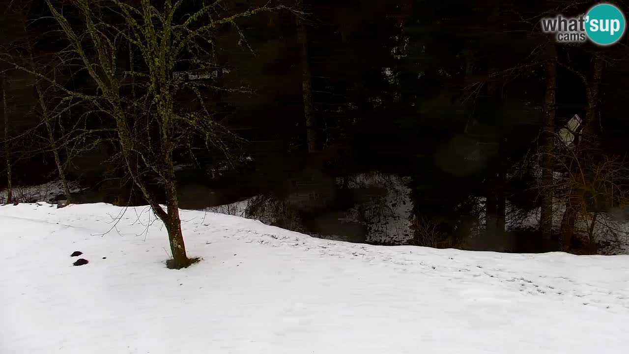 Web kamera Lukanja – Water Village | Pohorje Houses