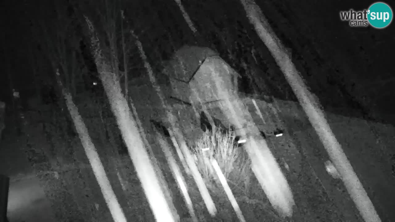 Webcam Lukanja – Water Village | Pohorje Houses