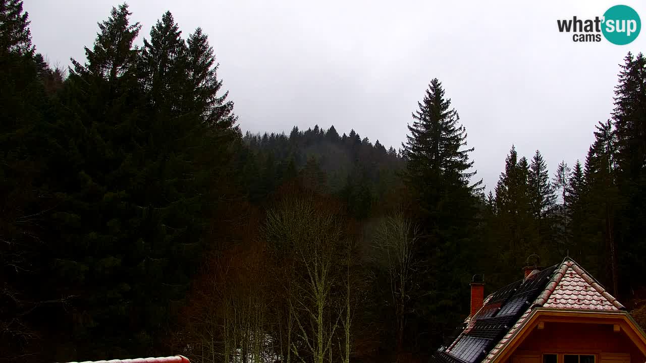 Webcam Lukanja – Water Village | Pohorje Houses