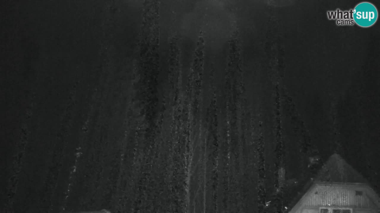 Webcam Lukanja – Pohorje houses a Water village