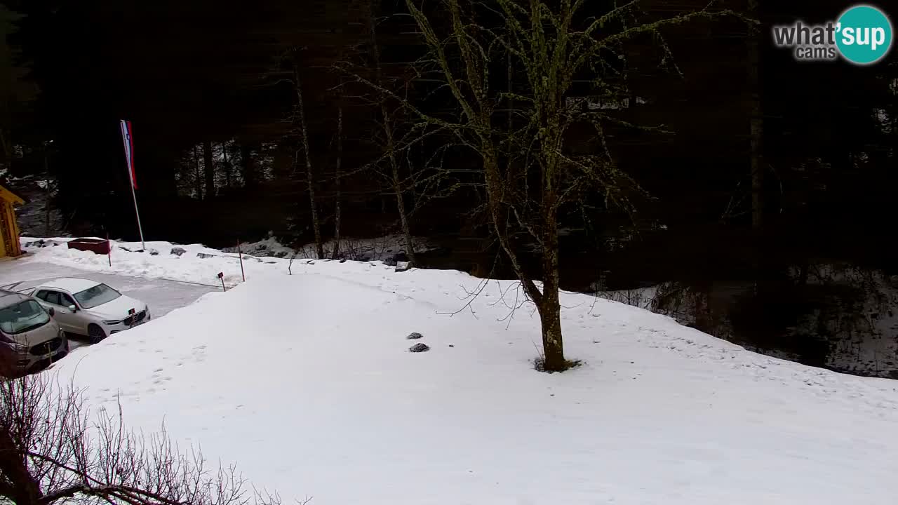 Webcam Lukanja – Water Village | Pohorje Houses