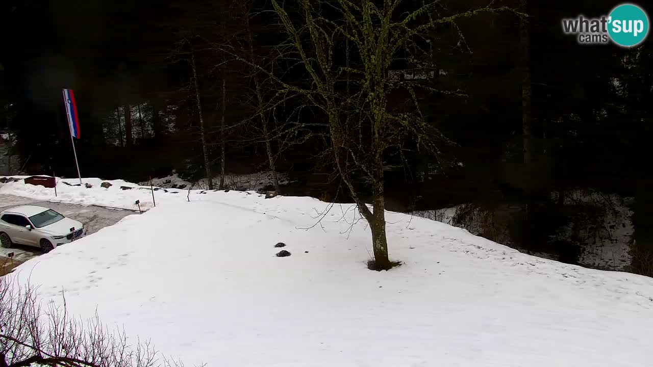 Webcam Lukanja – Water Village | Pohorje Houses