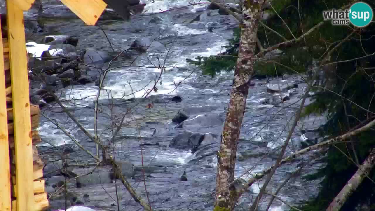 Webcam Lukanja – Pohorje houses a Water village