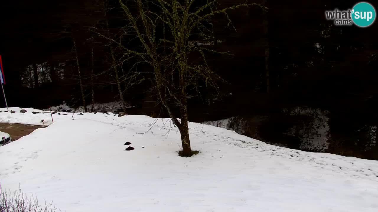 Webcam Lukanja – Pohorje houses a Water village