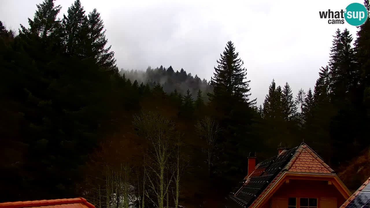 Webcam Lukanja – Pohorje houses a Water village