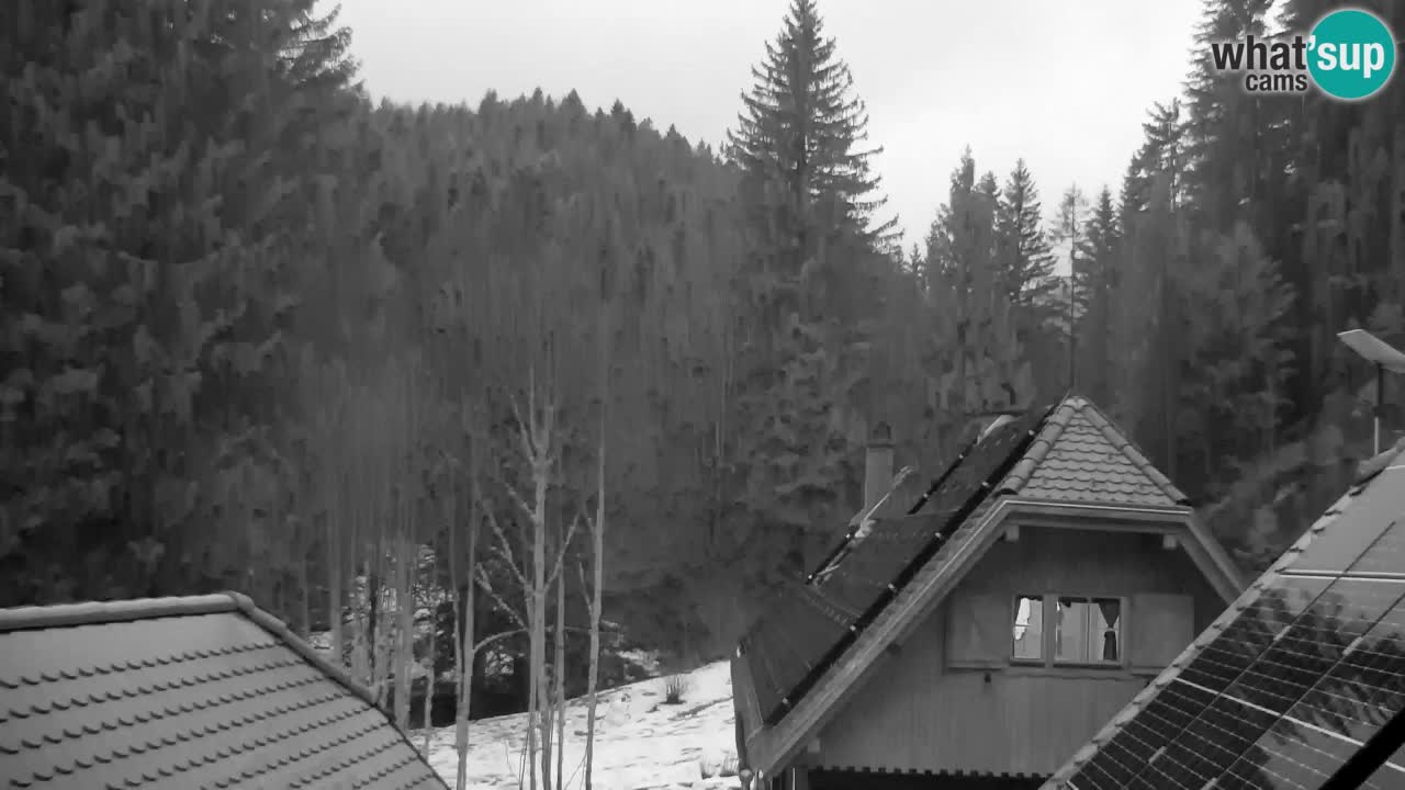 Webcam Lukanja – Water Village | Pohorje Houses