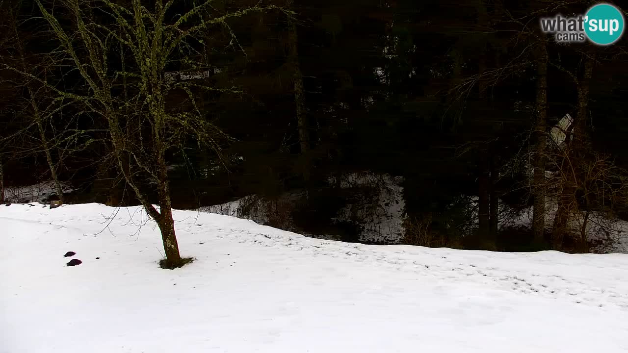 Webcam Lukanja – Water Village | Pohorje Houses