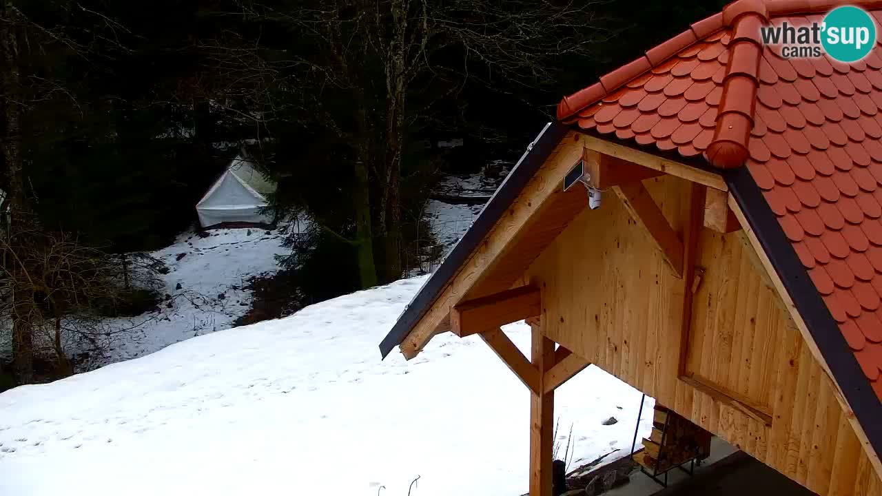 Webcam Lukanja – Water Village | Pohorje Houses