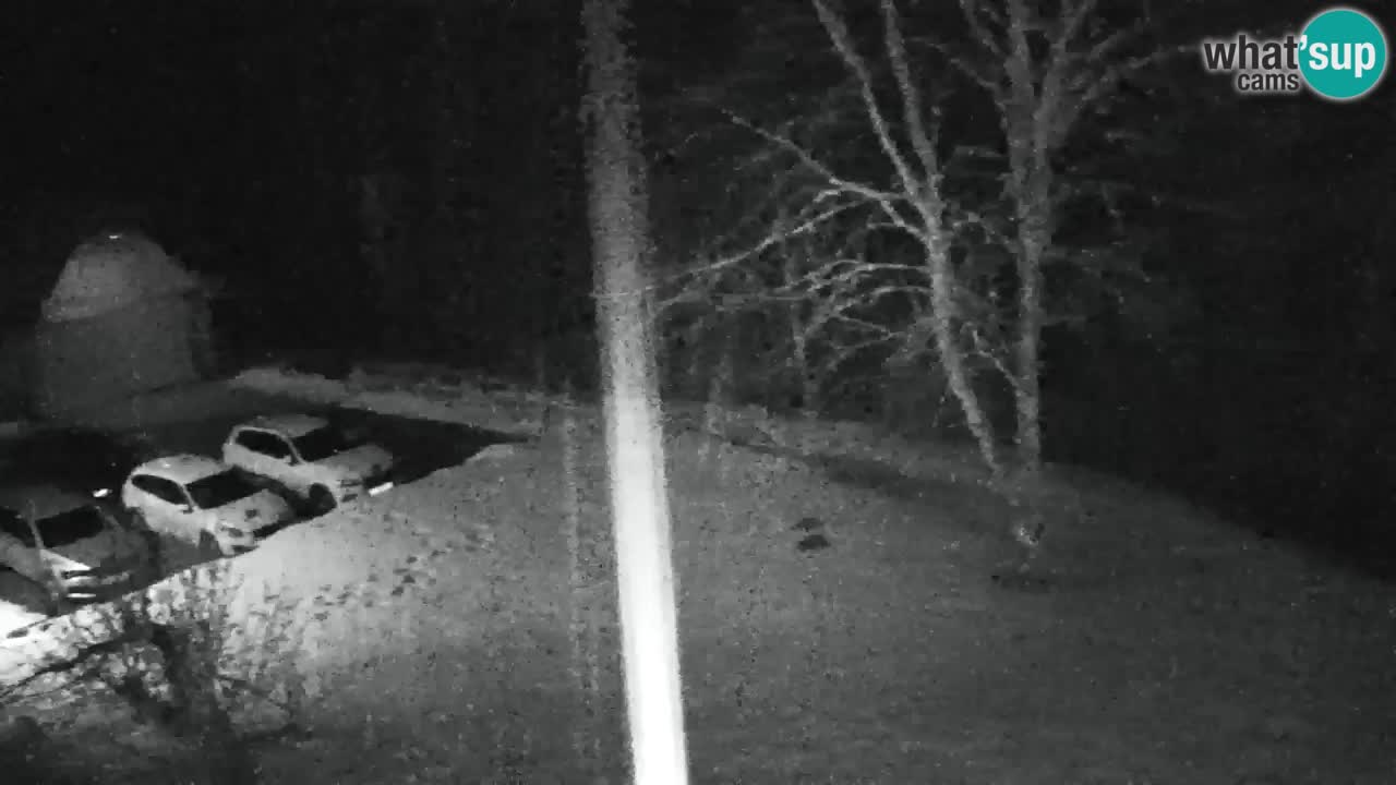 Webcam Lukanja – Pohorje houses a Water village