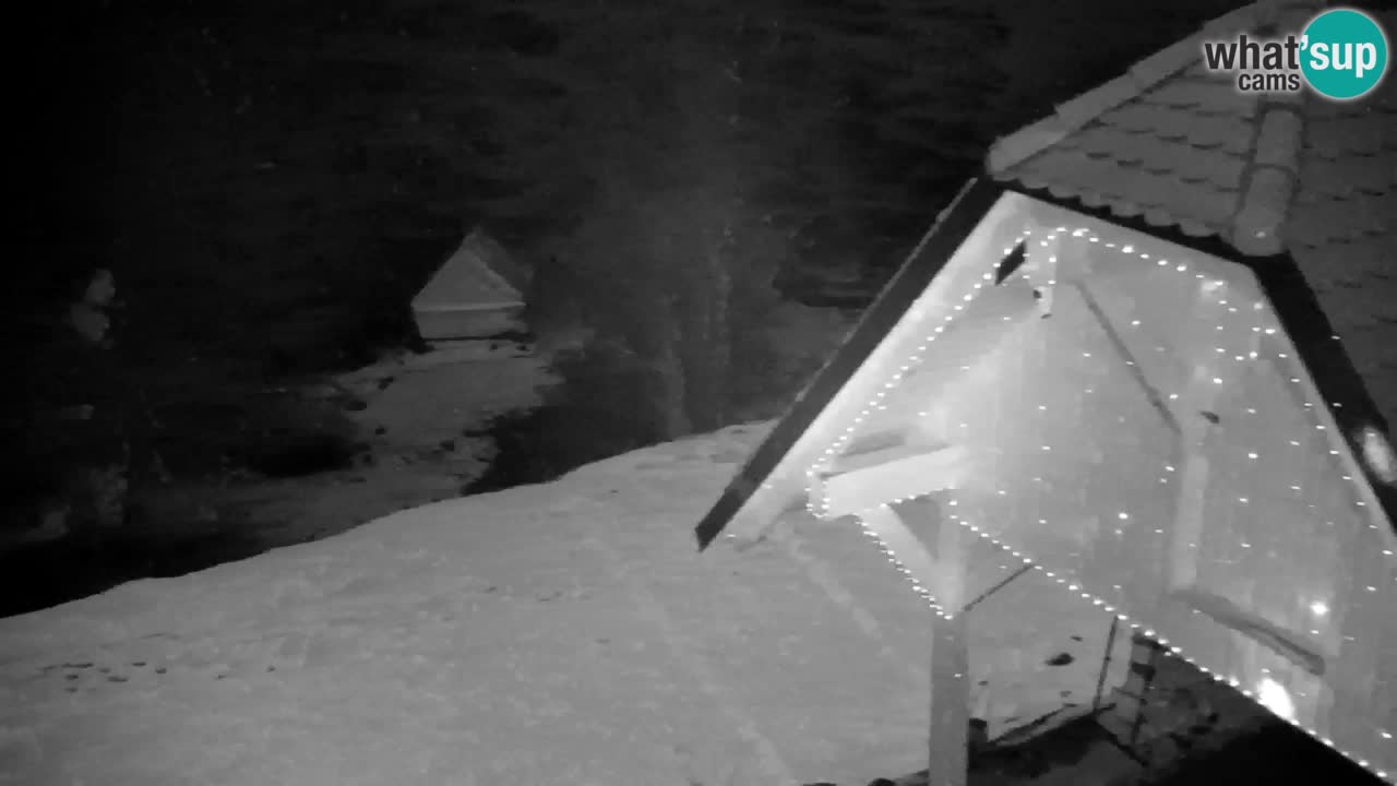 Webcam Lukanja – Water Village | Pohorje Houses