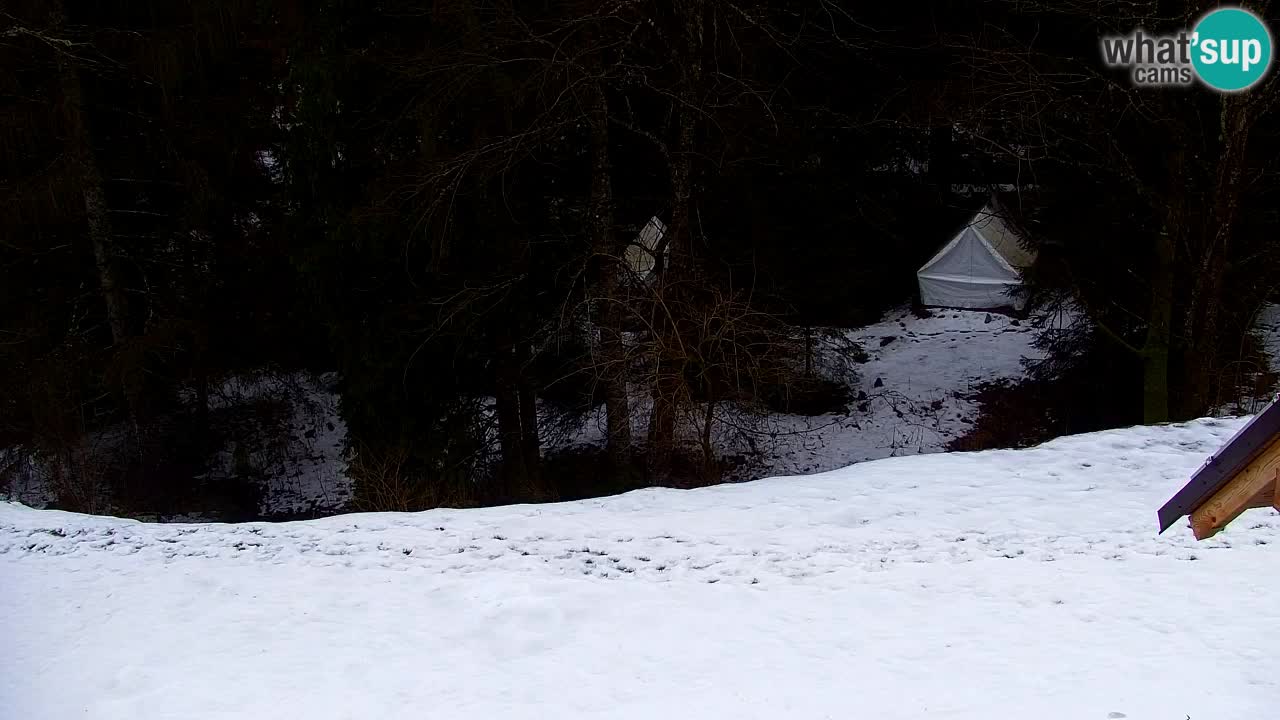 Webcam Lukanja – Water Village | Pohorje Houses