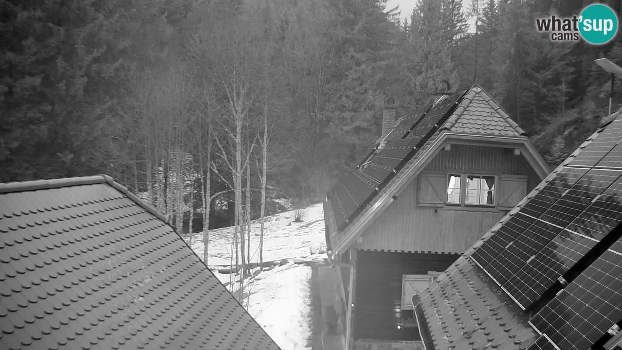 Spletna kamera Lukanja – Water Village | Pohorje Houses