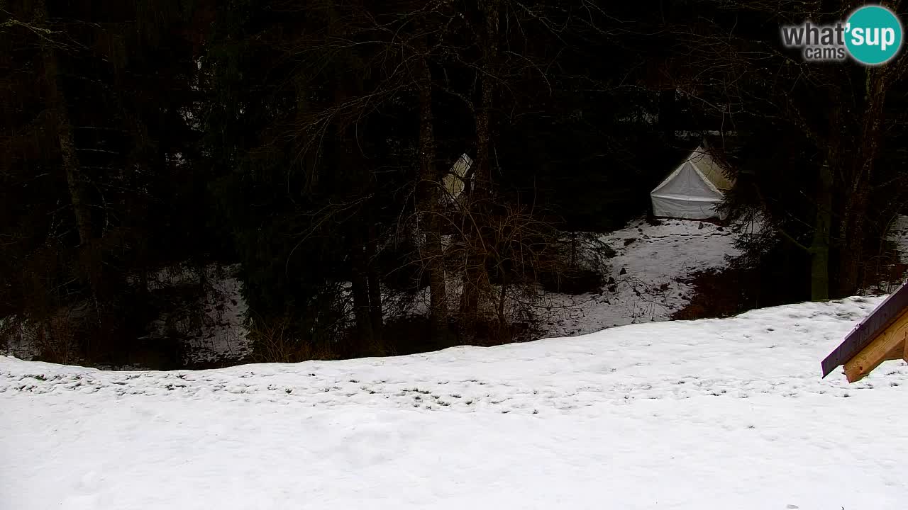 Webcam Lukanja – Pohorje houses a Water village