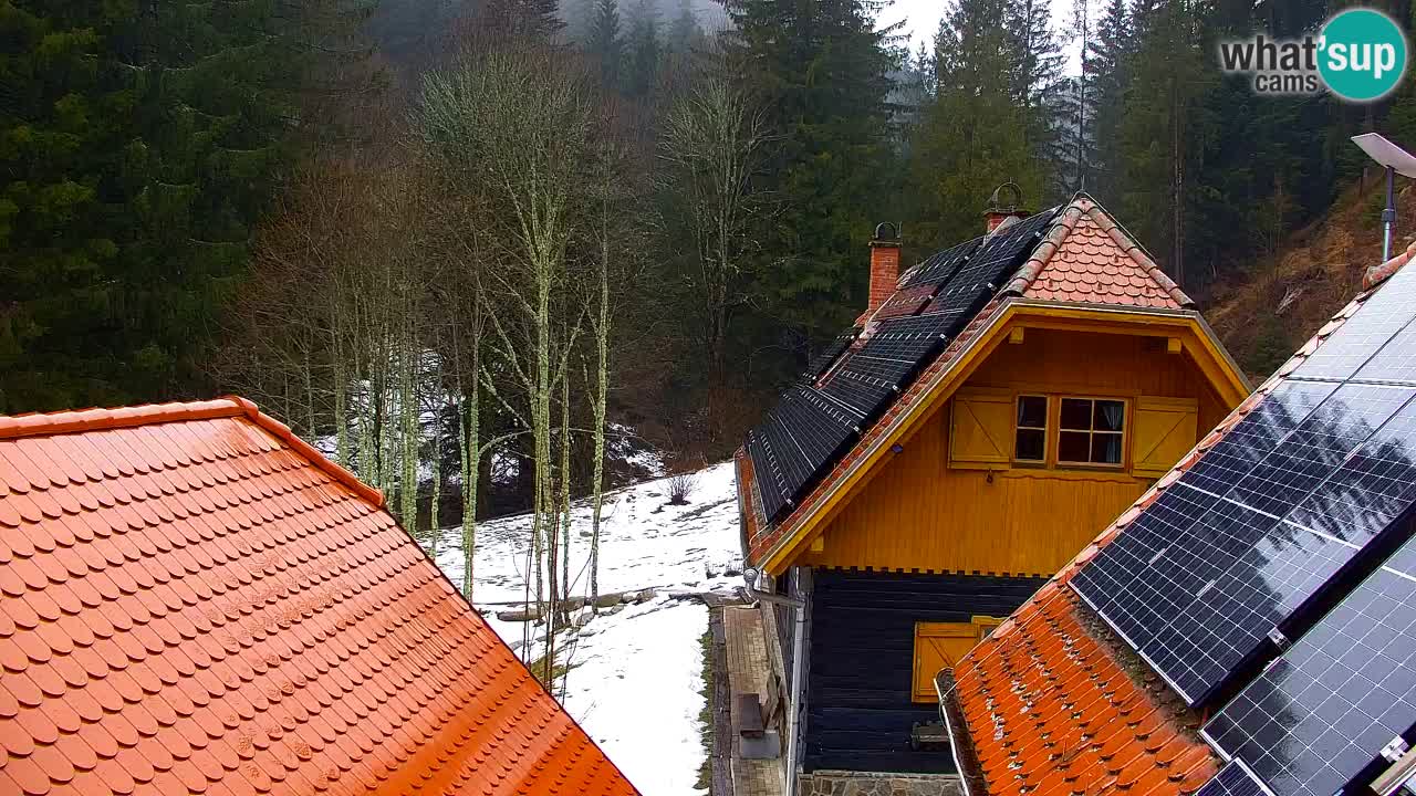 Webcam Lukanja – Pohorje houses a Water village