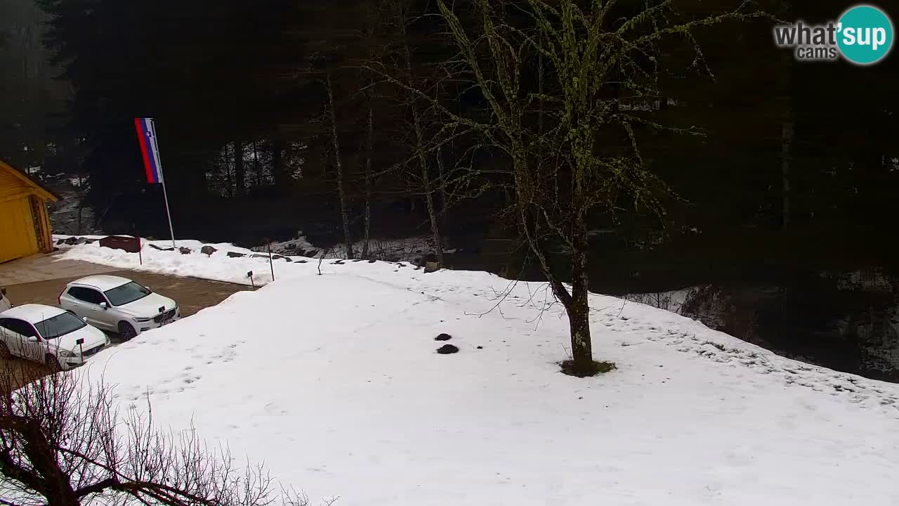 Web kamera Lukanja – Water Village | Pohorje Houses